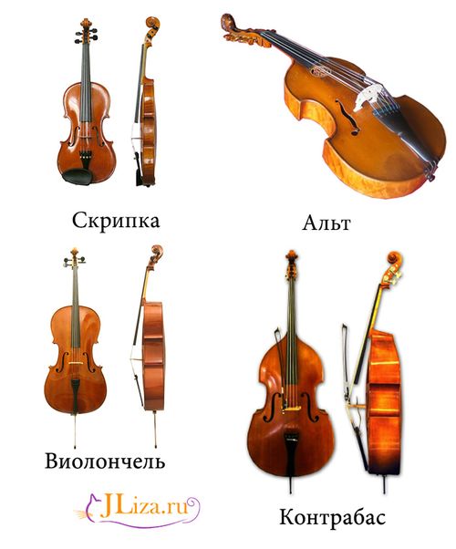 Струнные смычковые инструменты
