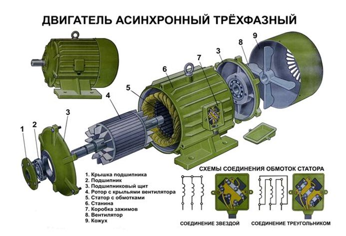 Устройство асинхронного трехфазного двигателя