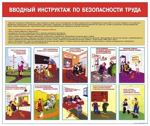 Особенности вводного инструктажа по технике безопасности
