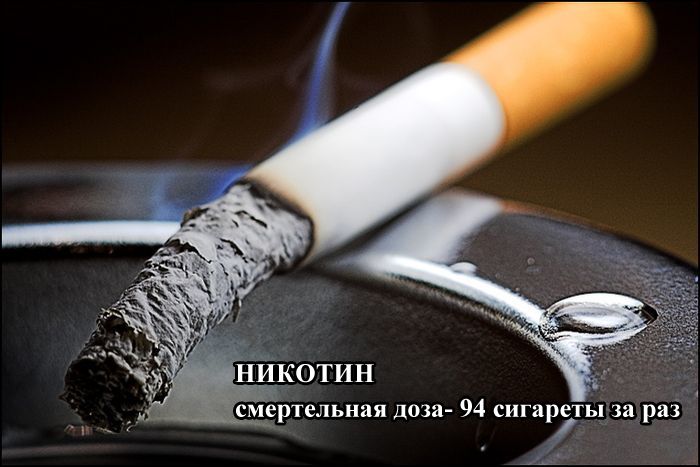 Опубликованное фото